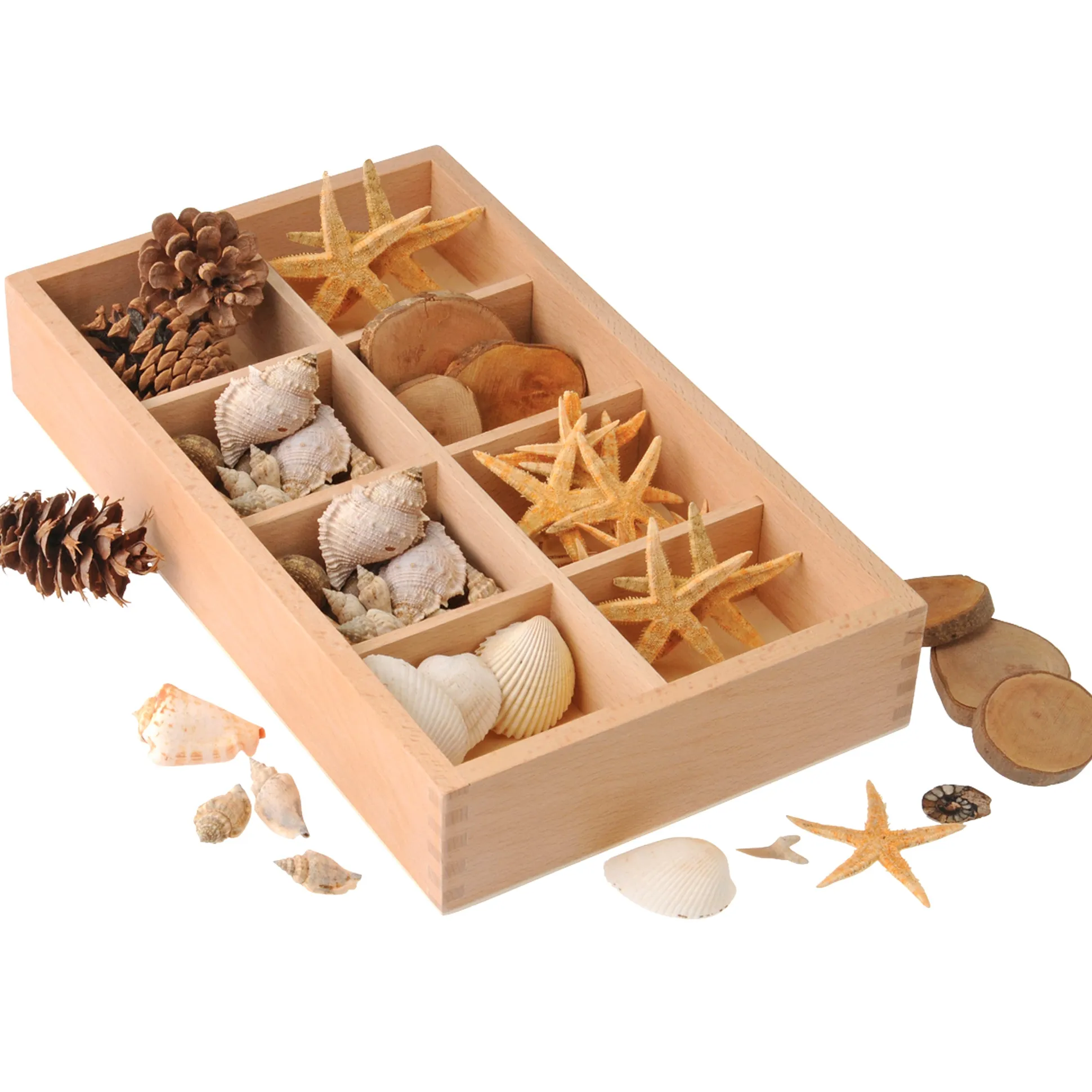 Includes Star Fish, Seashells, Pine Cones, and Tree Rings to sort and classify in the included Wood Sorting Box.