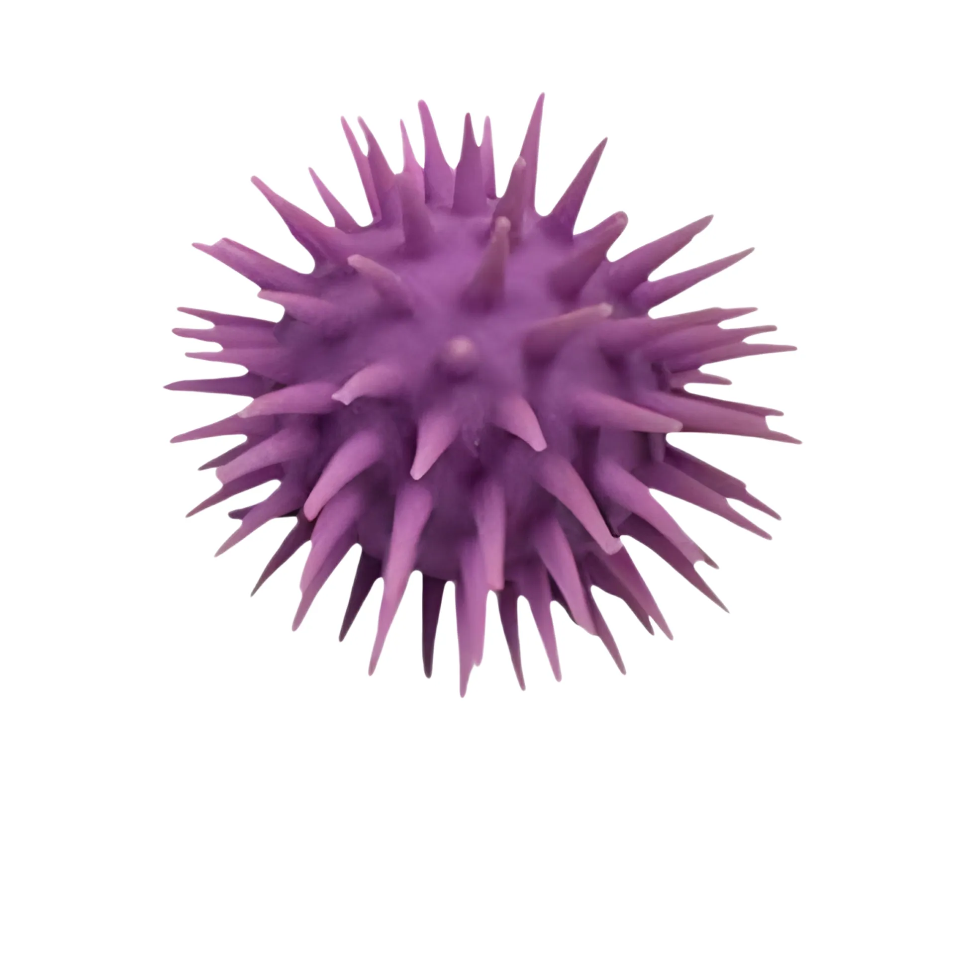 Inside-Out Sensory Fidget Ball