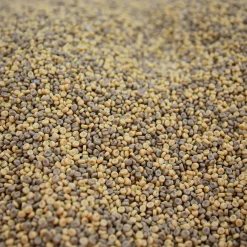 Kidfetti® Sensory Play Pellets | 10 lb Neutral 2-Tone Mix | Clean Sand Alternative