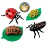 Ladybug Life Cycle Figurines | 4-Piece Educational Set
