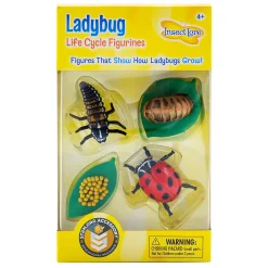 Ladybug Life Cycle Figurines | 4-Piece Educational Set
