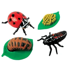 Ladybug Life Cycle Figurines | 4-Piece Educational Set