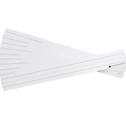 Large Magnetic Sentence Strips