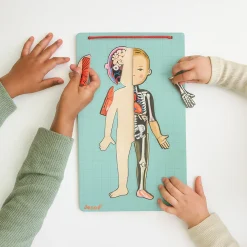 Magnetic Body Puzzle - Learn about the Body