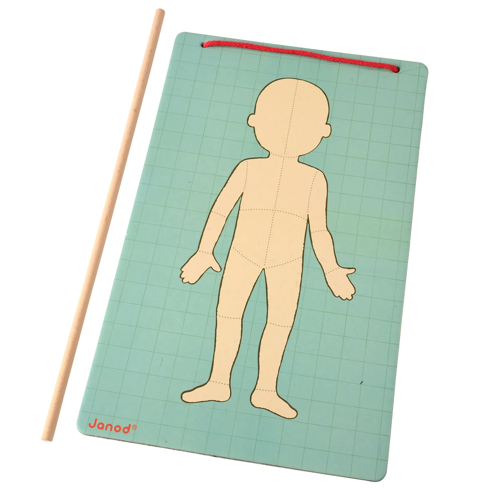 Magnetic Body Puzzle - Learn about the Body