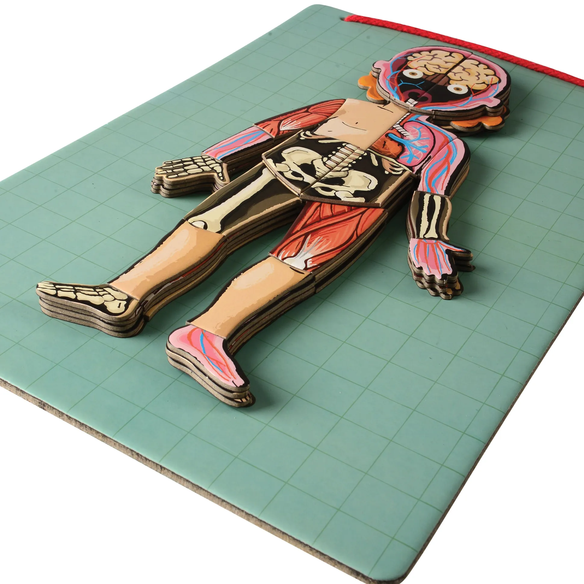 Magnetic Body Puzzle - Learn about the Body