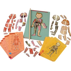 Magnetic Body Puzzle - Learn about the Body