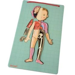 Magnetic Body Puzzle - Learn about the Body