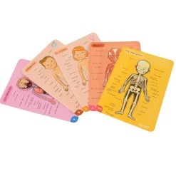 Magnetic Body Puzzle - Learn about the Body