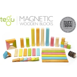 Magnetic Wooden Blocks / Tints