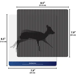 Mindful Motions Exploration Sensory Cards | Animal Motion Optical Illusion Activity Set