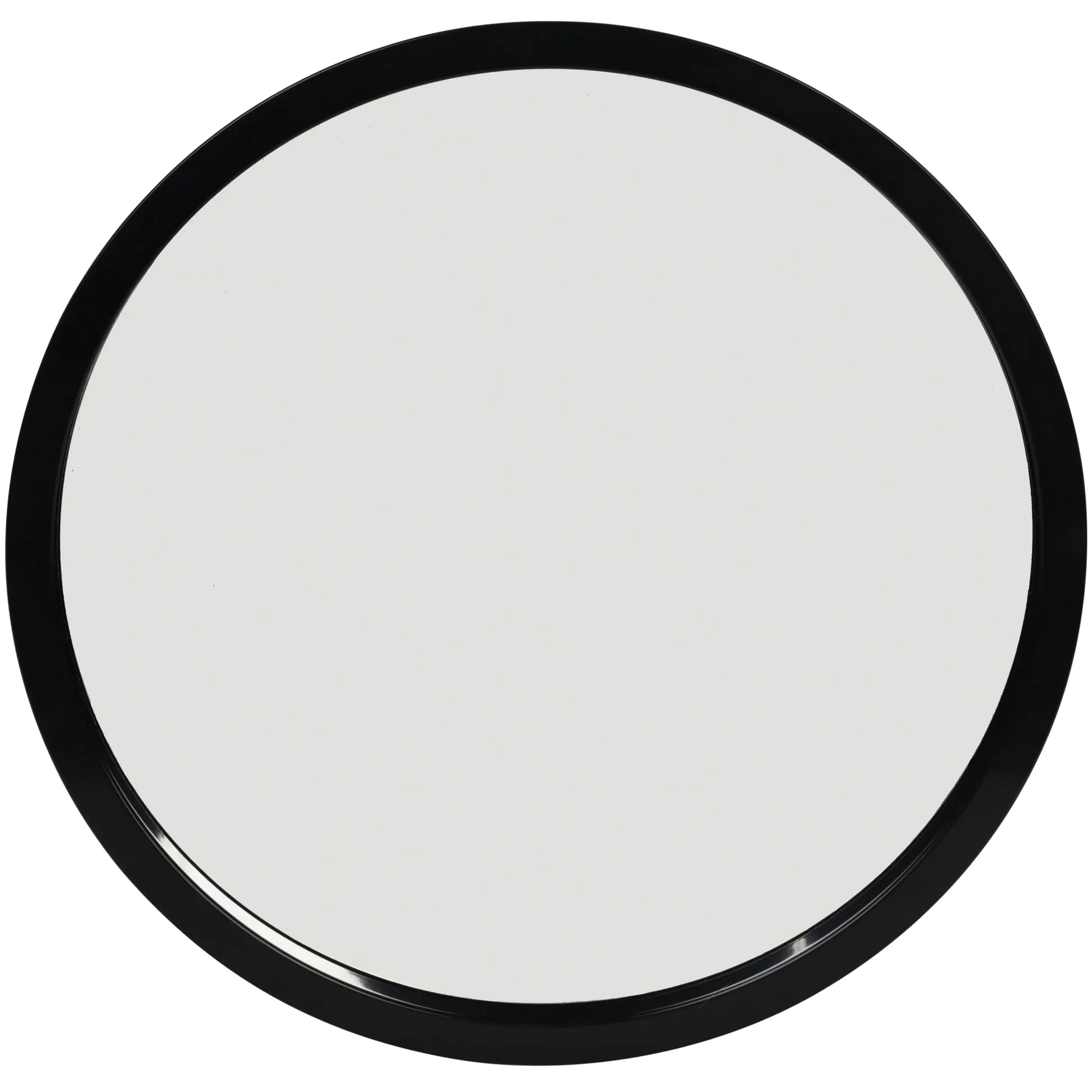 Mirror Discovery Tray Set