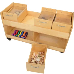 Mobile Science Cart