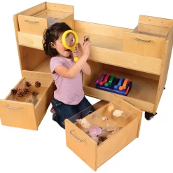 Mobile Science Cart