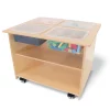 Mobile Sensory Table with Trays & Lids | Rolling Activity Station for Preschool Sensory Play