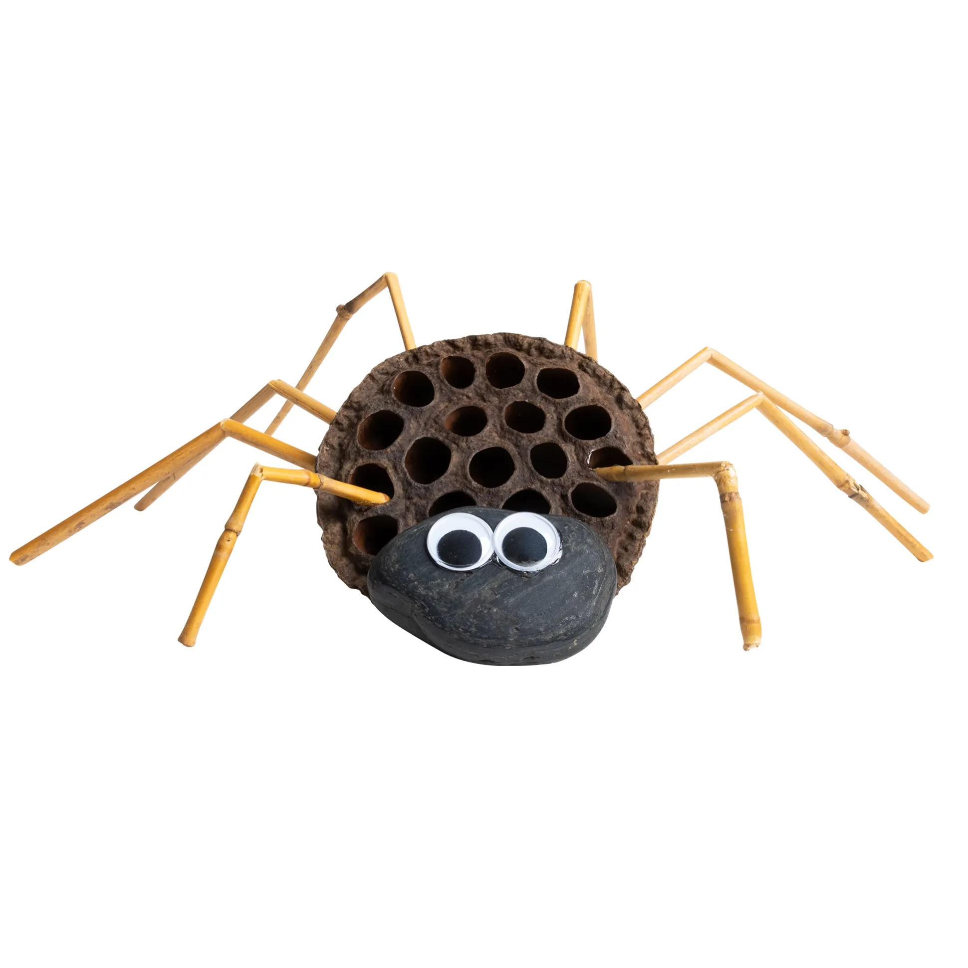 Naturals Discovery Loose Parts Set | Eco-Friendly Sensory STEM Learning Kit with Stones, Wood, Leaves & Natural Materials