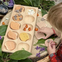 Natural Sorting & Counting Tray Collection