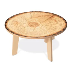 Nature View Live Edge Round Activity Table | 18