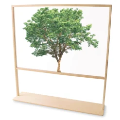 Nature View 48" Tree Acrylic Classroom Partition | Reversible Floor Divider