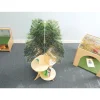 Nature View Tree Book Shelf | Reversible Biophilic Acrylic Bookshelf