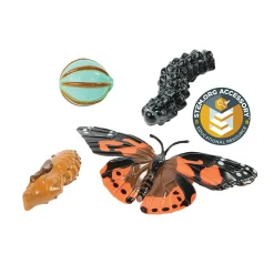Painted Lady Butterfly Life Cycle Figurines | 4-Piece Educational Set