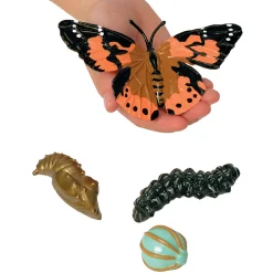 Painted Lady Butterfly Life Cycle Figurines | 4-Piece Educational Set