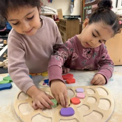 Pattern and Play Peacock Wooden Puzzle | Color Sorting, Patterning & Fine Motor Learning Toy
