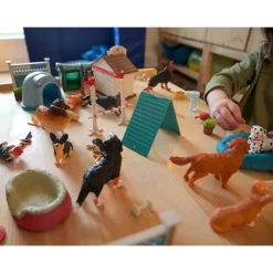Pet Care Learning Kit | Role Play for Language, STEM & Social-Emotional Development