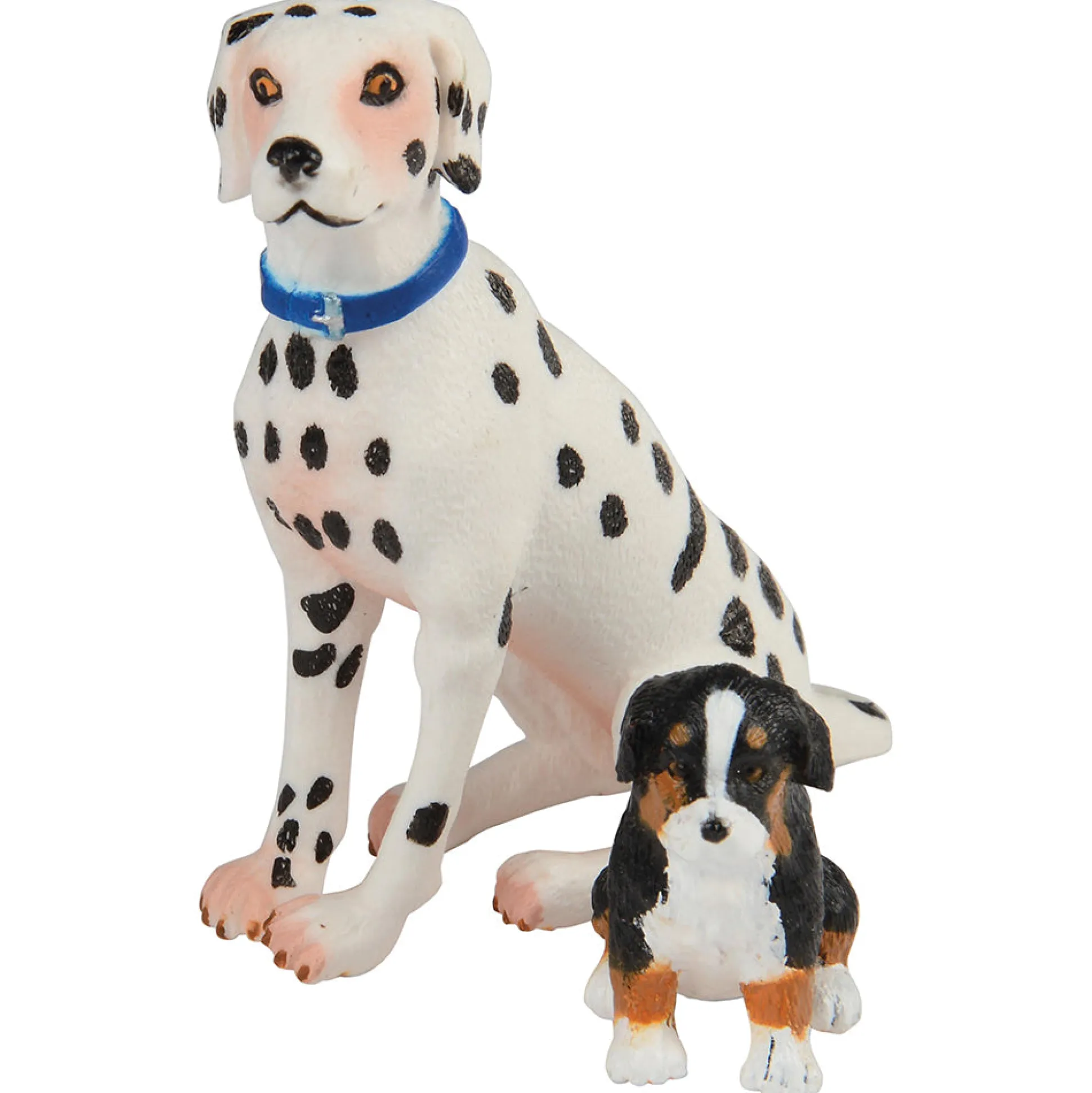 Pet Care Learning Kit | Role Play for Language, STEM & Social-Emotional Development