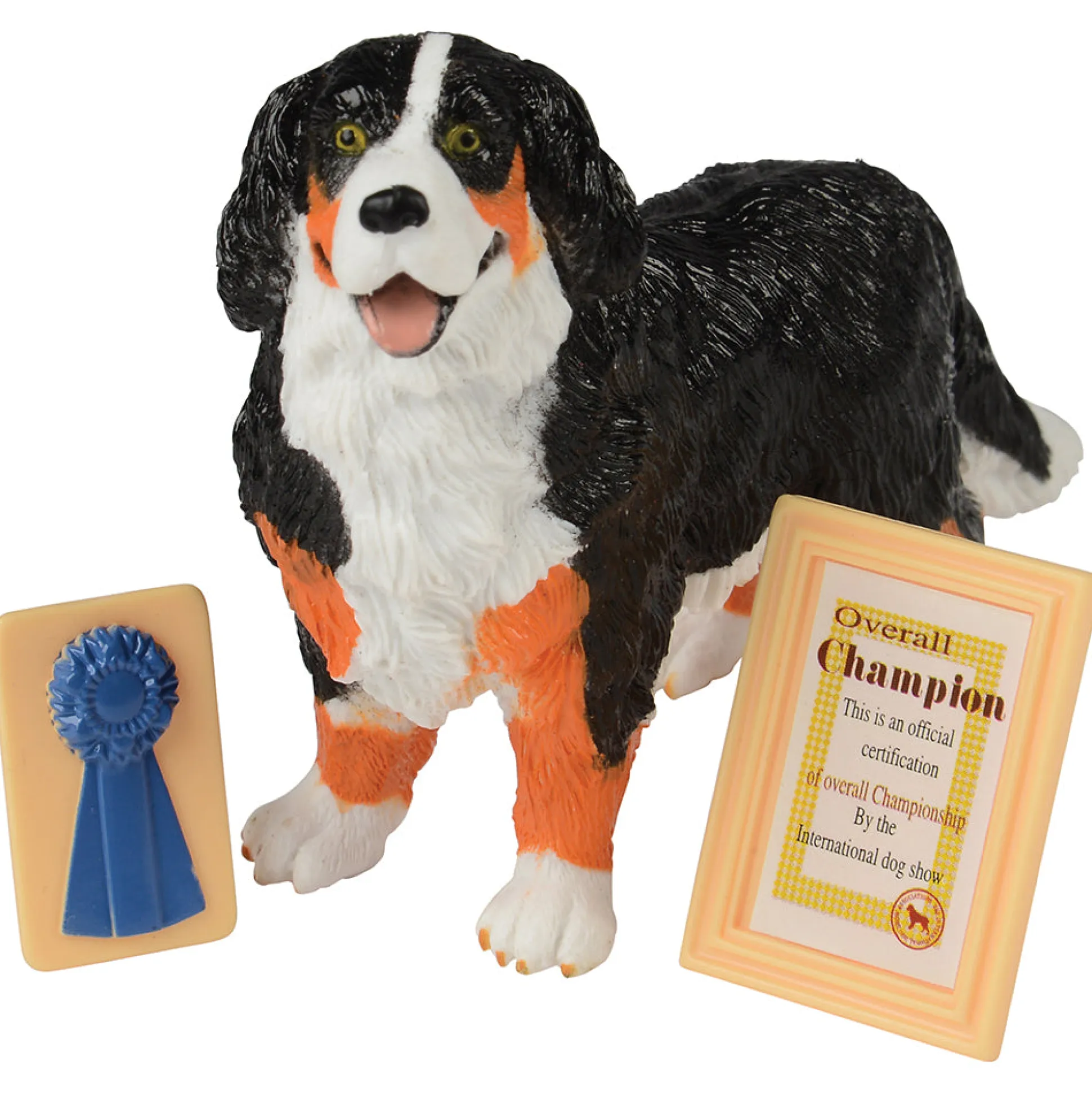 Pet Care Learning Kit | Role Play for Language, STEM & Social-Emotional Development