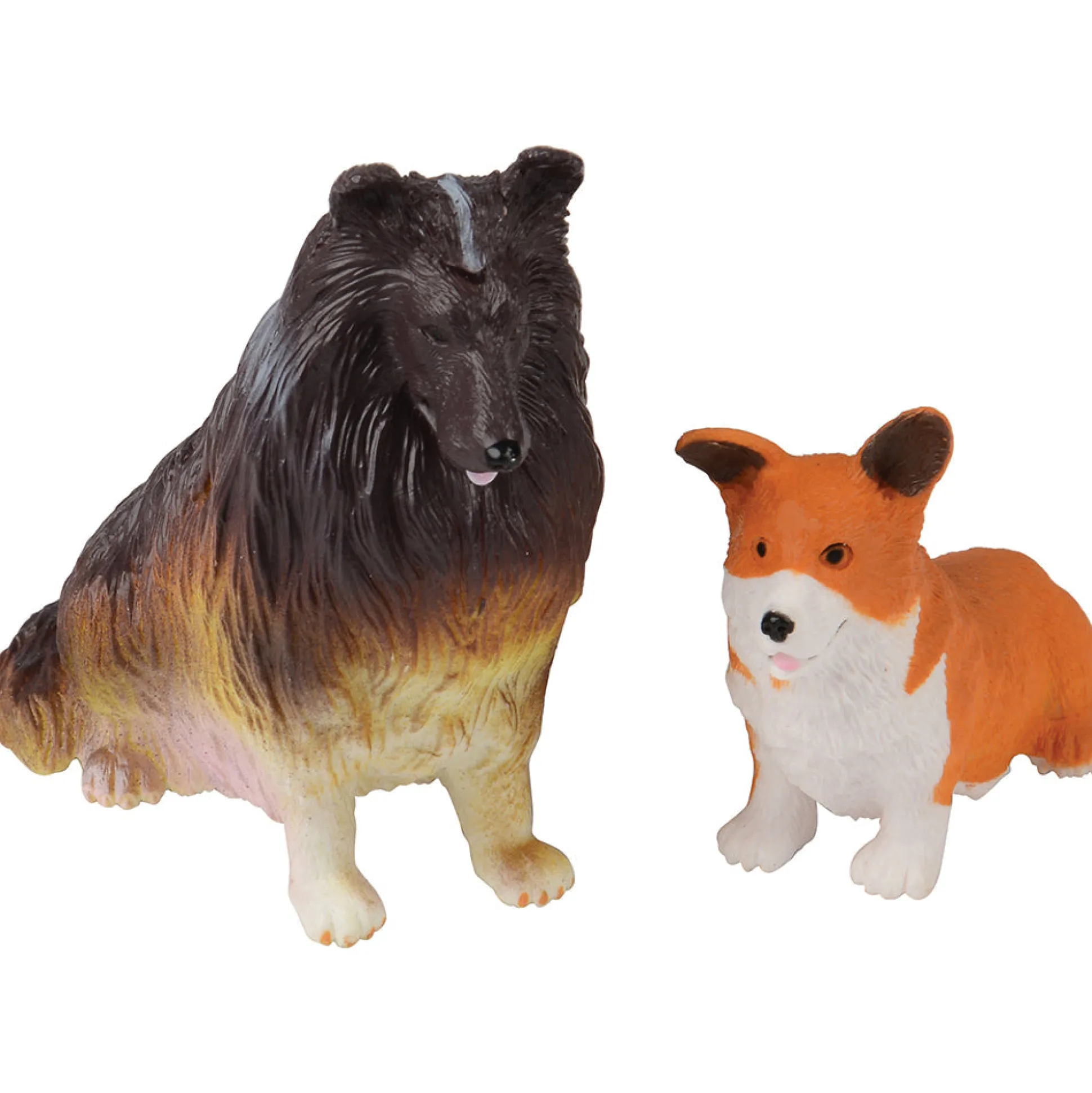 Pet Care Learning Kit | Role Play for Language, STEM & Social-Emotional Development