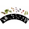 Plant X-Rays STEM Learning Card Set | Botanical Science Matching Activity with 42 Plant X-Ray Images & 42 Picture Cards
