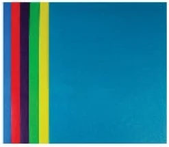 2 Pocket Economy Portfolio - 1 Folder, Assorted Colors