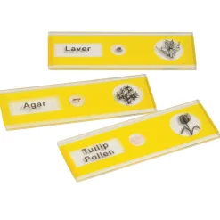 Prepared Slide Kit - Plants