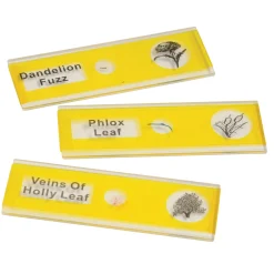 Prepared Slide Kit - Plants