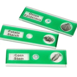 Prepared Slide Kit - Vegetables