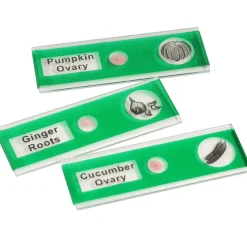 Prepared Slide Kit - Vegetables