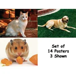 Real-Life Learning Posters - Pets