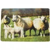 Real Life Mother & Baby Animal Puzzles - Farm Animals
