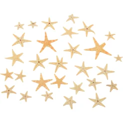 Real Starfish 30-Piece Set
