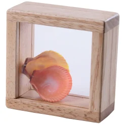 Refillable Discovery Blocks