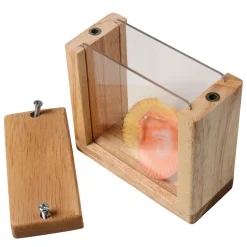 Refillable Discovery Blocks
