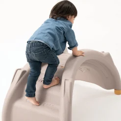 Rocking Climbing Bridge | Indoor Gross Motor Climbing & Rocking Play Structure
