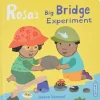 Rosa's Big Bridge Experiment