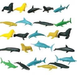 Sea Animals