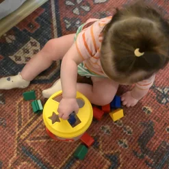 Shape Sorter Bucket