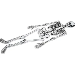 Skeleton Foam Floor Puzzle
