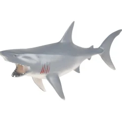 Squeaky Shark Learning Buddy