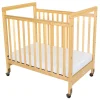 Standard See-Thru Crib