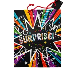 SUPRISE! Classroom Gift Bag